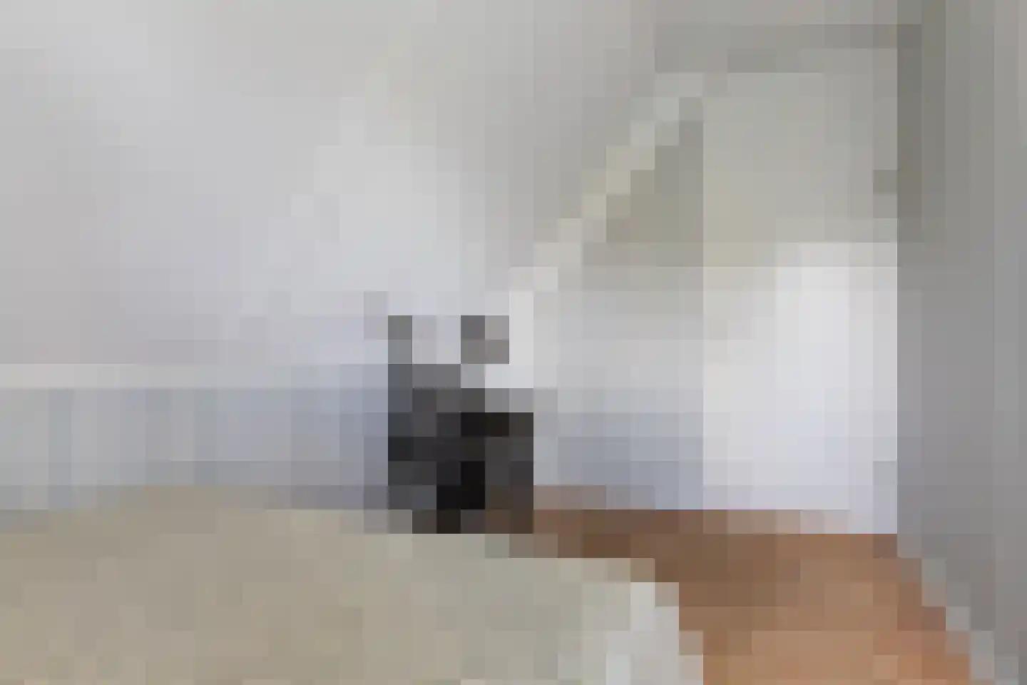 Lauwers 9 Sneek thumbnail 46