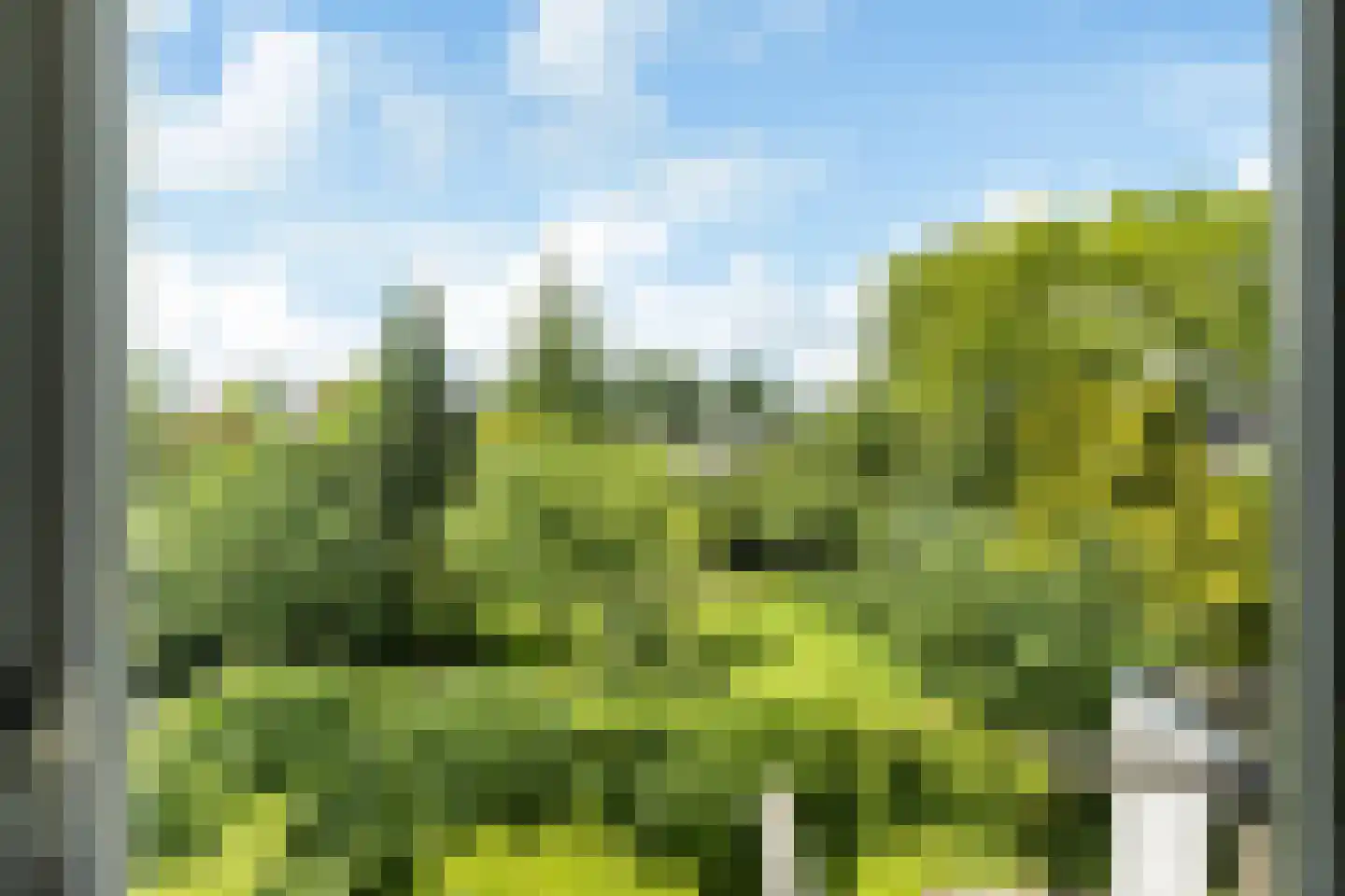 Lauwers 9 Sneek thumbnail 47