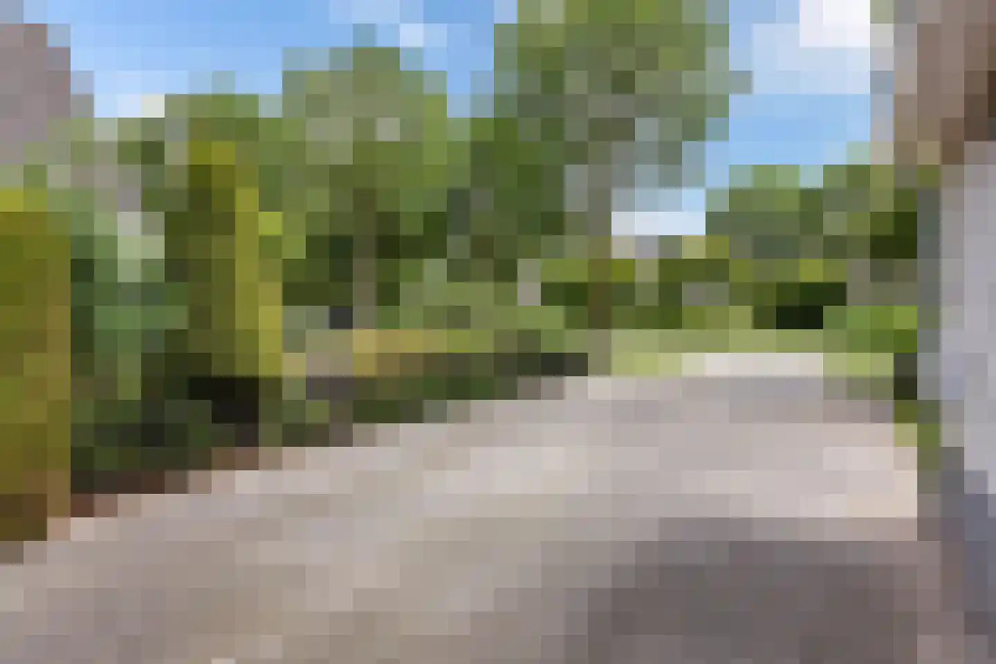 Lauwers 9 Sneek thumbnail 5