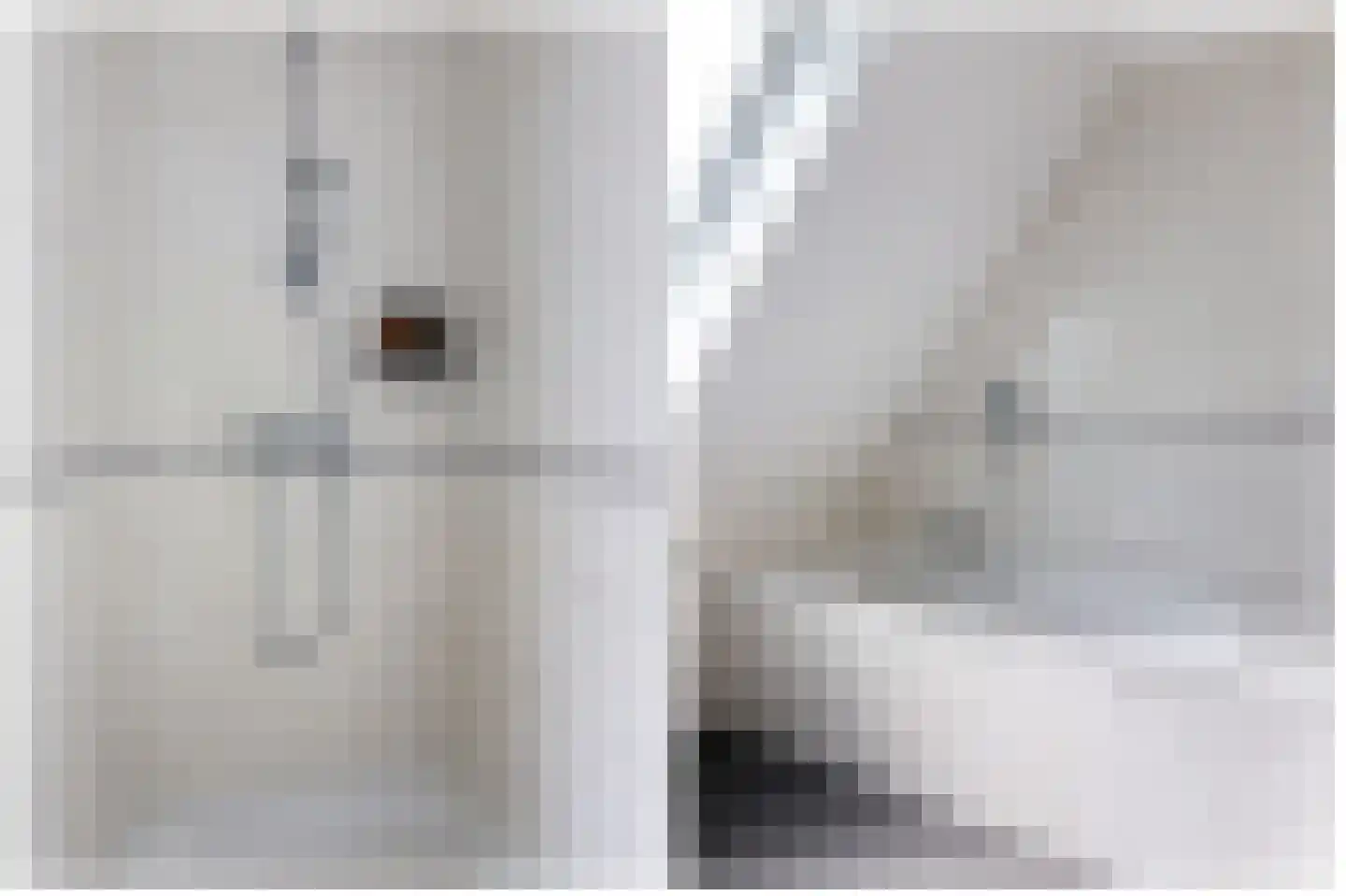 Lauwers 9 Sneek thumbnail 52
