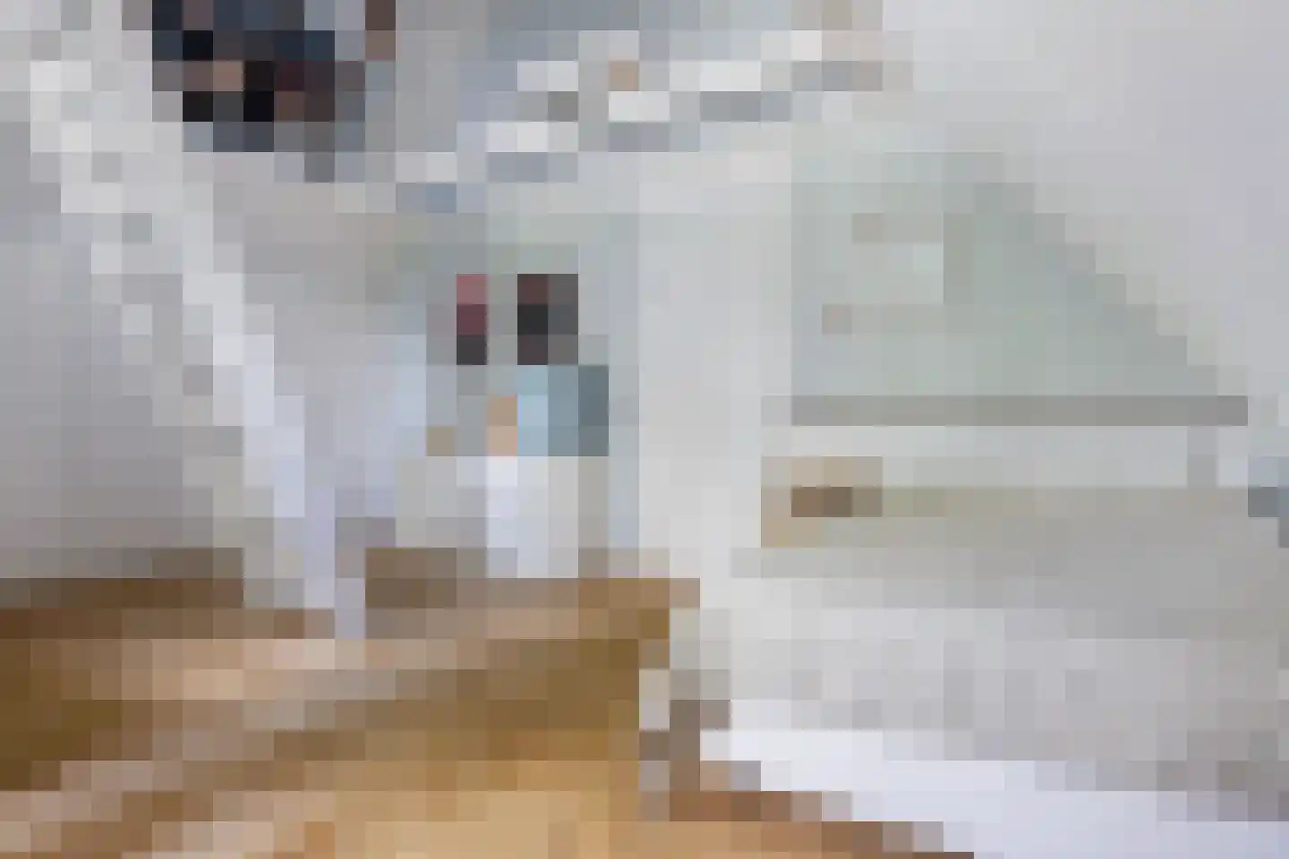 Lauwers 9 Sneek thumbnail 54