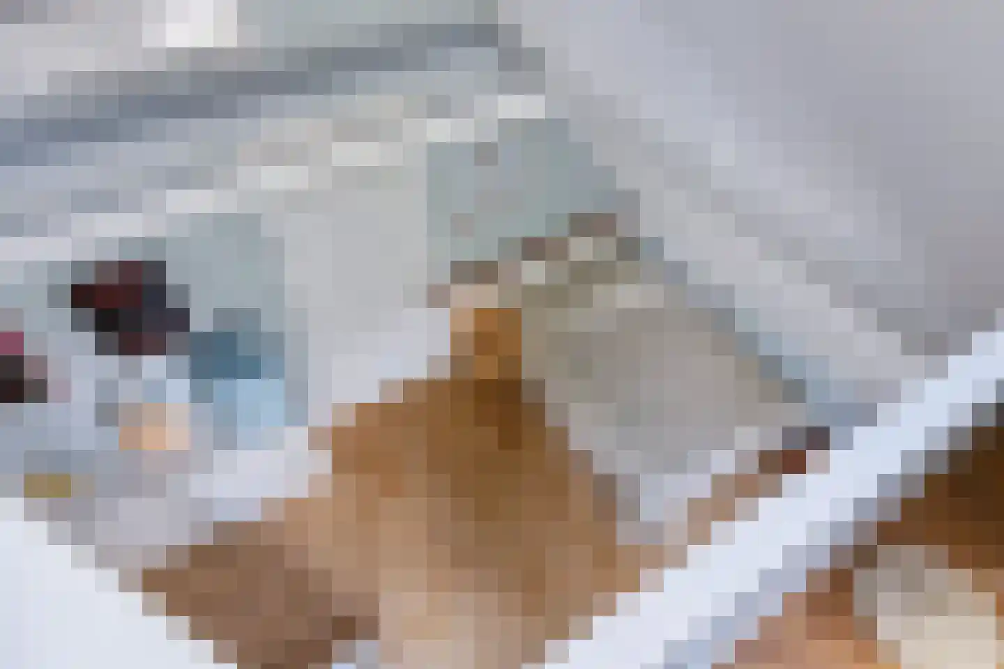 Lauwers 9 Sneek thumbnail 57