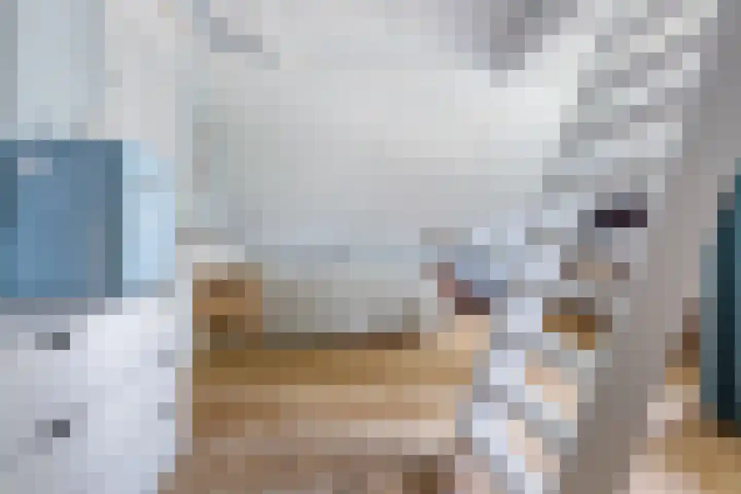 Lauwers 9 Sneek thumbnail 59