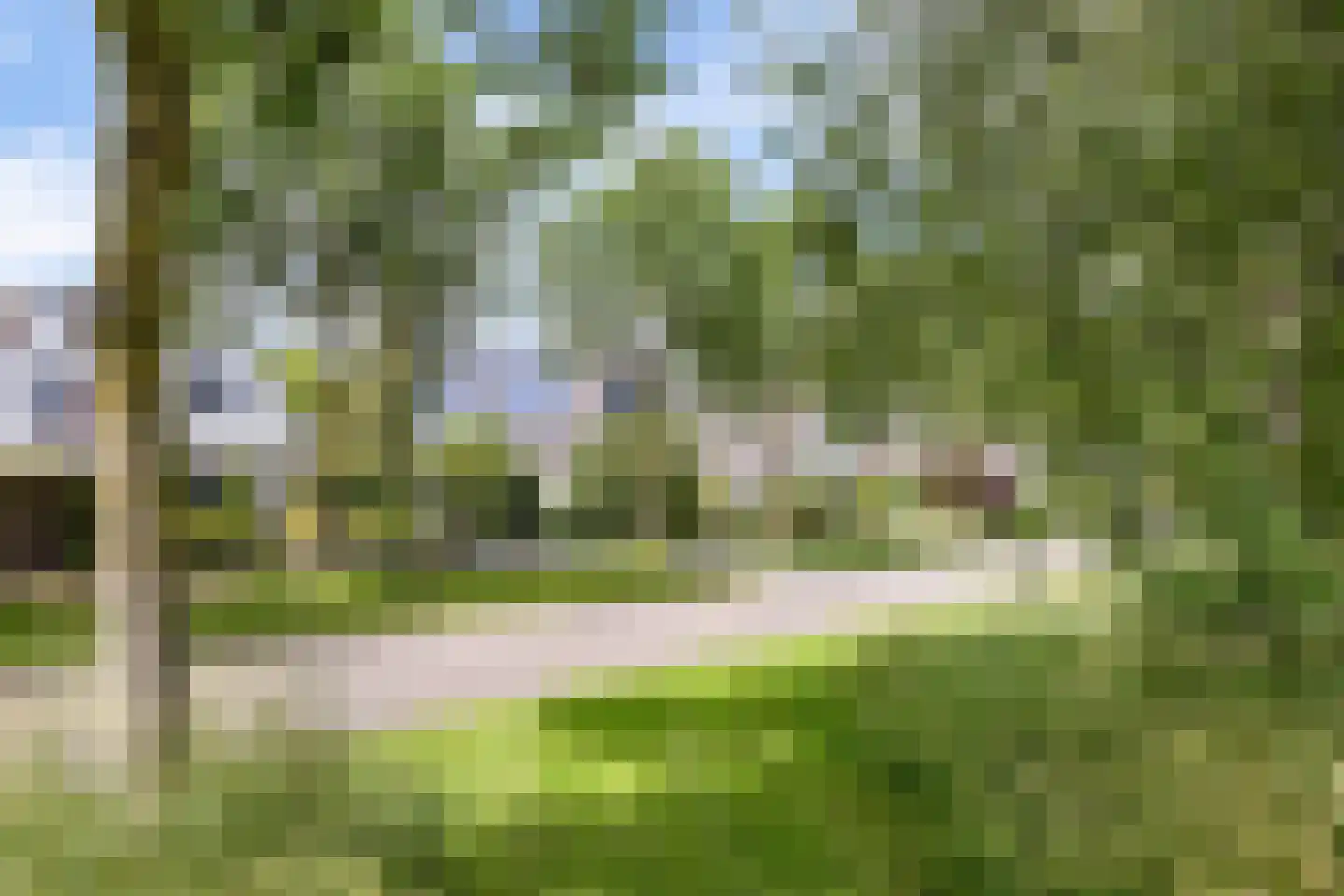 Lauwers 9 Sneek thumbnail 62