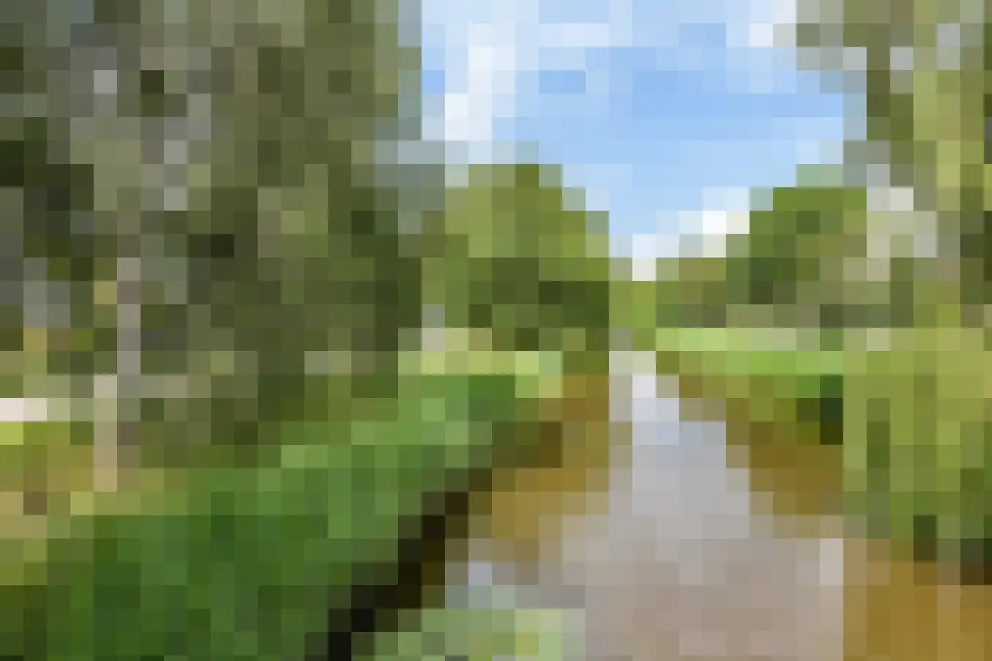 Lauwers 9 Sneek thumbnail 63