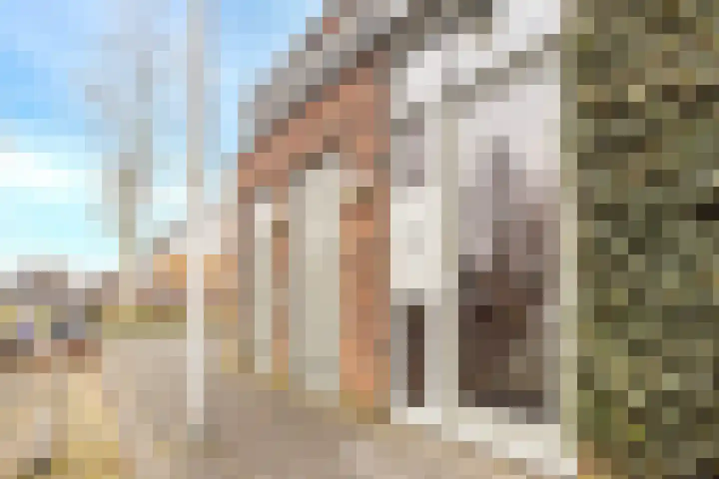 Lauwersmeer 60 Amersfoort thumbnail 7