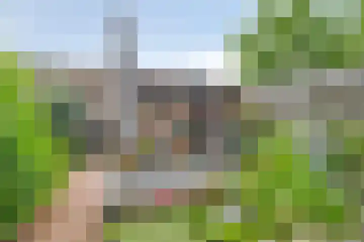 Lauwersmeer 70 Rotterdam thumbnail 27