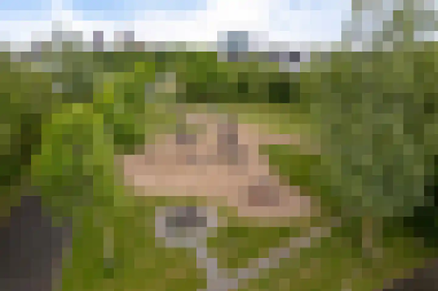 Lauwersmeer 73 Zoetermeer thumbnail 61