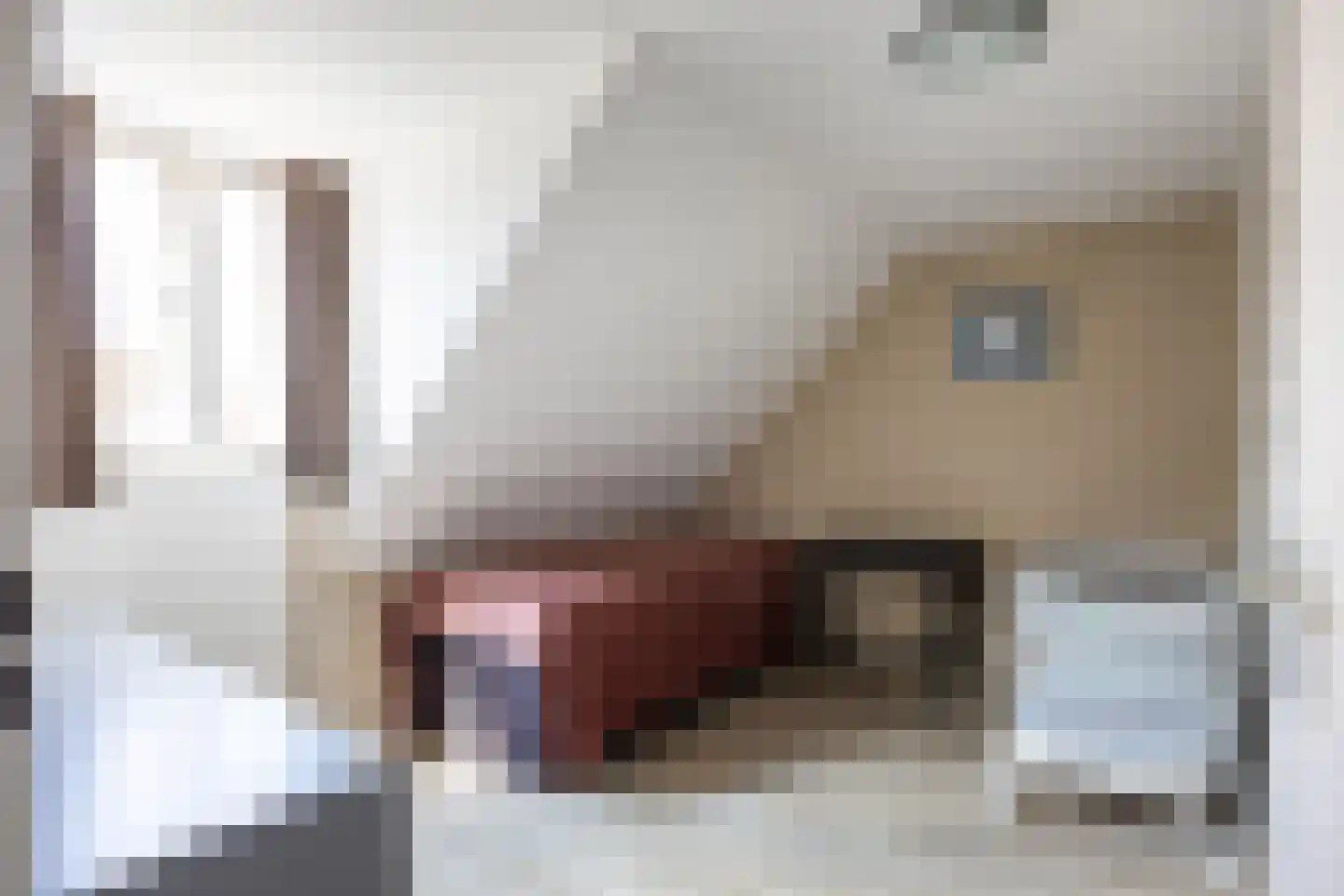 Lauwersstraat 6 Zoutkamp thumbnail 24