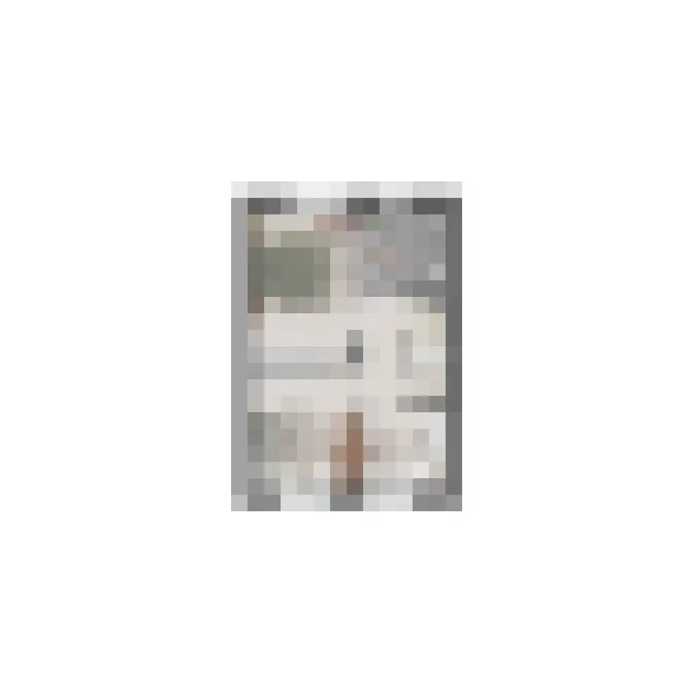 Lauwerstraat 13 Helmond thumbnail 12