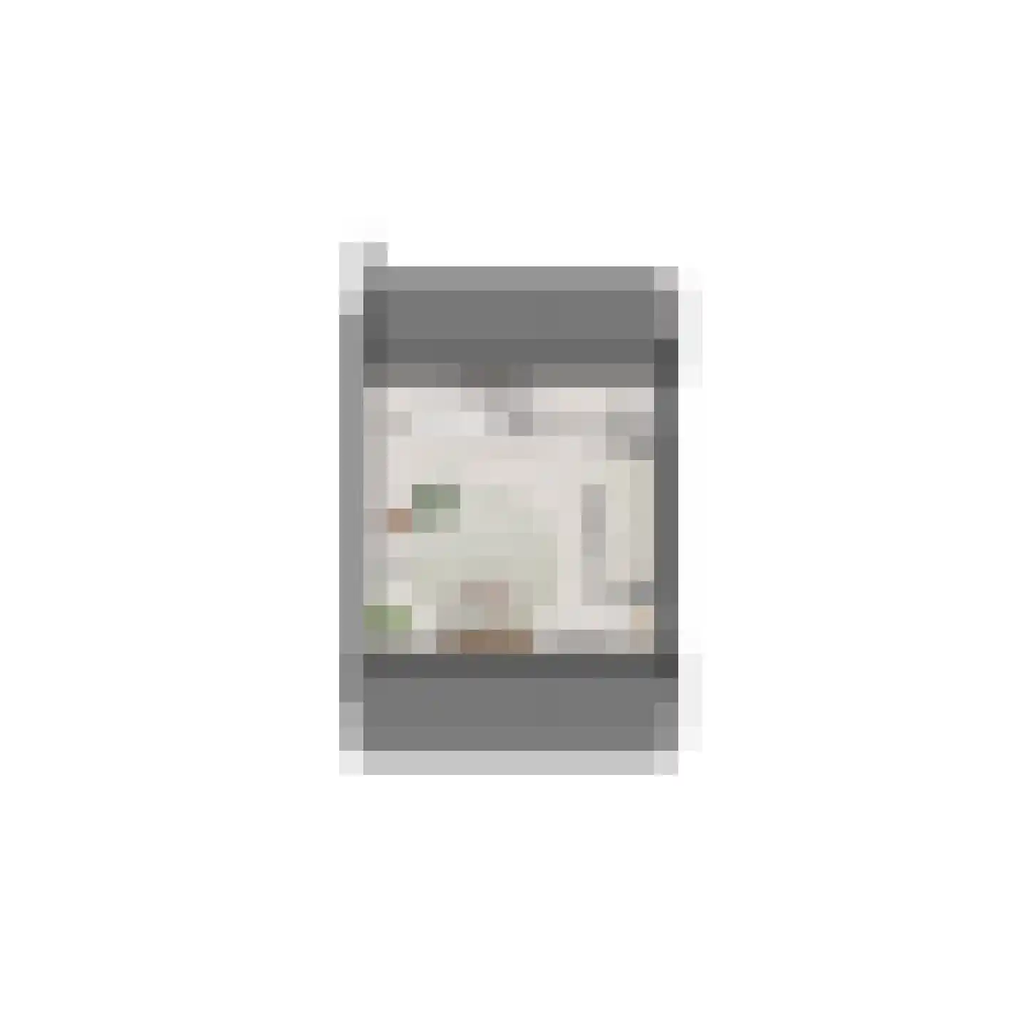 Lauwerstraat 5 Helmond thumbnail 13