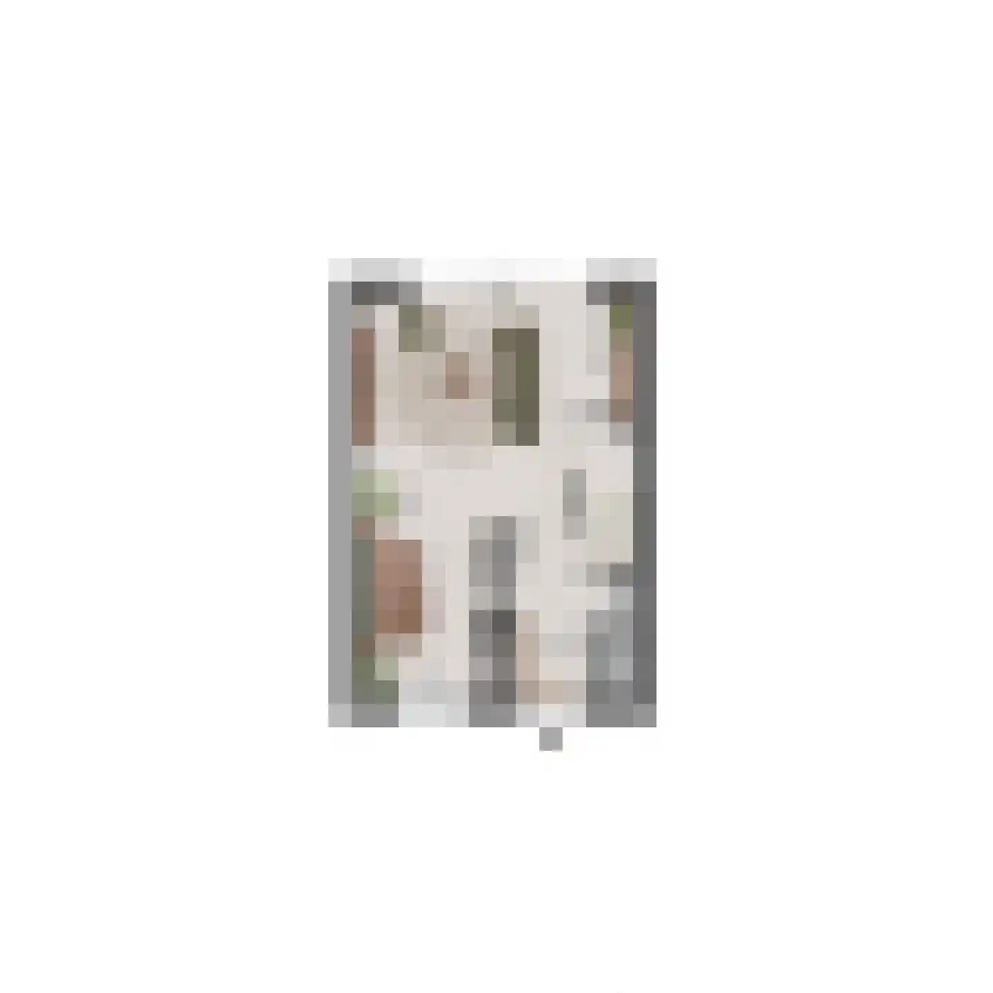 Lauwerstraat 9 Helmond thumbnail 11