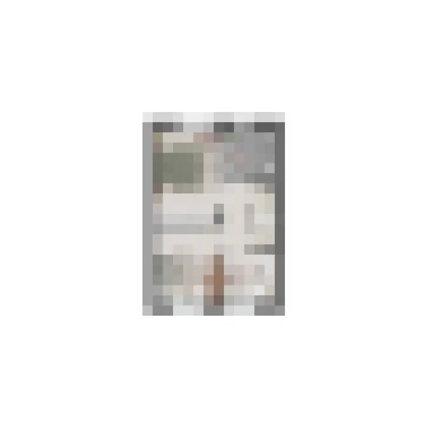 Lauwerstraat 9 Helmond thumbnail 12