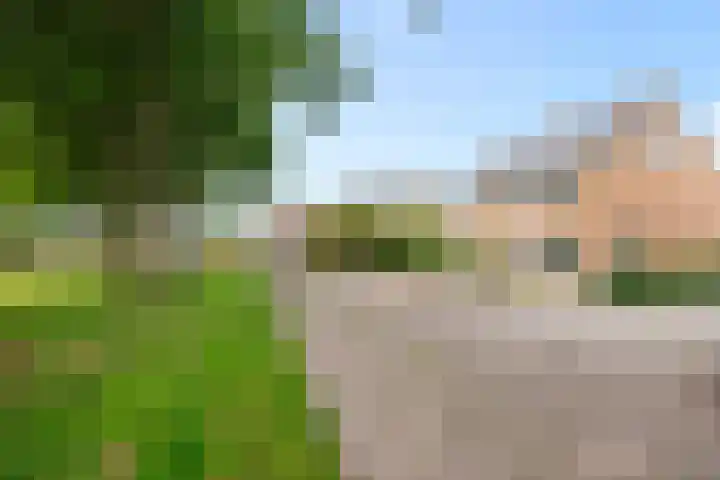 Lauwerszeestraat 10 Den Helder thumbnail 30