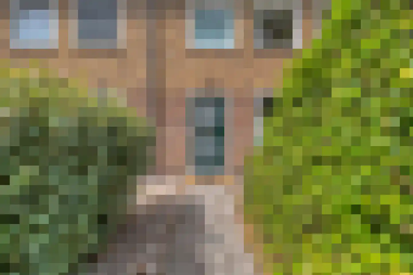 Lauwerszeestraat 6 Den Helder thumbnail 5