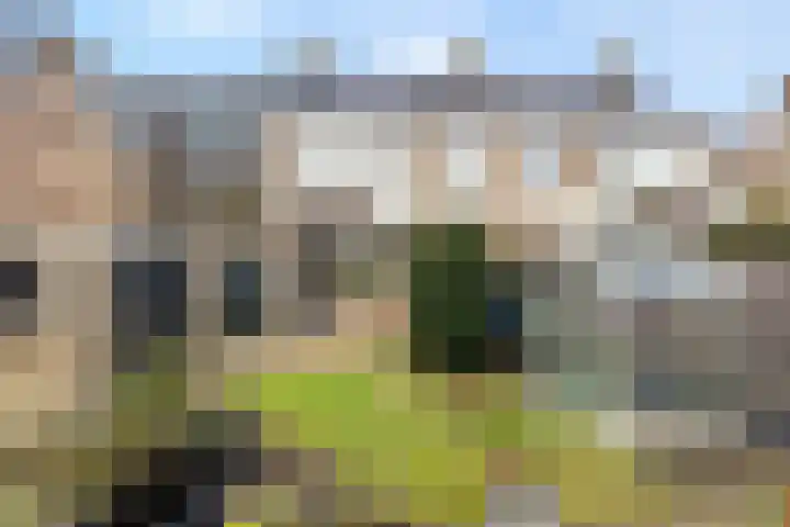 Lauwerszeestraat 9 Den Helder thumbnail 28