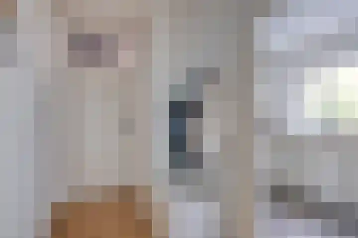 Lauwerszeeweg 109 Eindhoven thumbnail 10