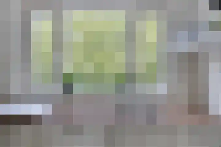Lauwerszeeweg 109 Eindhoven thumbnail 12
