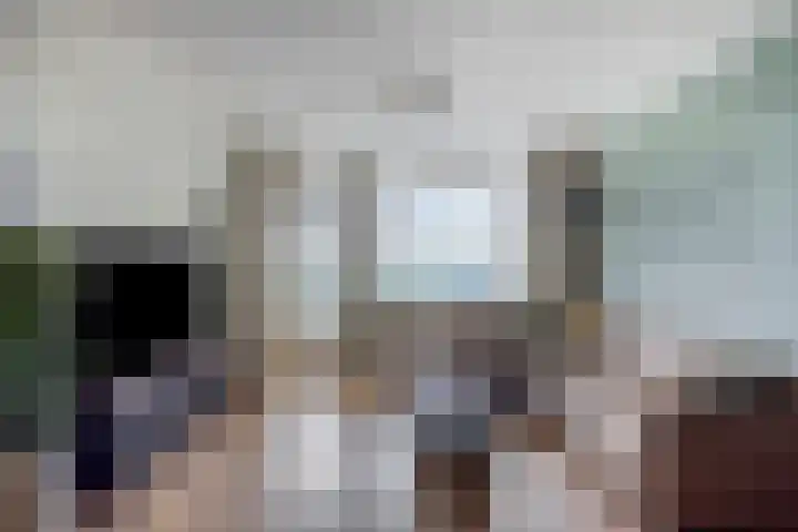 Lauwerszeeweg 109 Eindhoven thumbnail 15