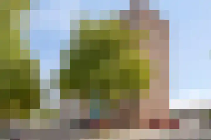 Lauwerszeeweg 109 Eindhoven thumbnail 37