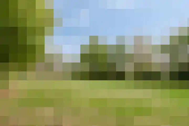 Lauwerszeeweg 109 Eindhoven thumbnail 39