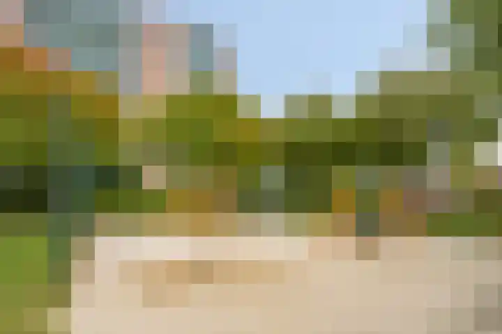 Lauwerszeeweg 109 Eindhoven thumbnail 40