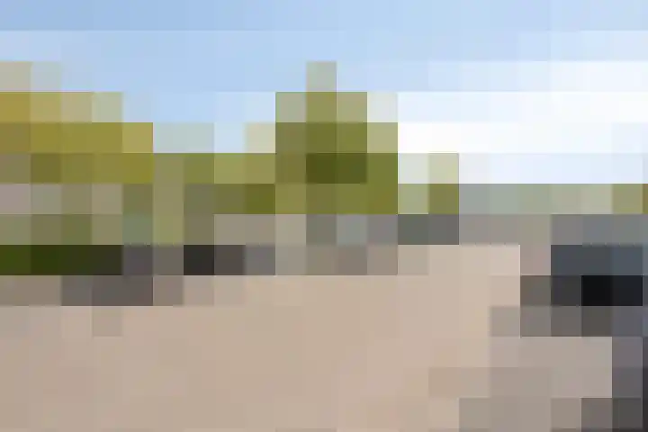Lauwerszeeweg 109 Eindhoven thumbnail 41