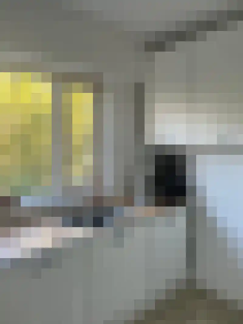 Lauwerszeeweg 119 Eindhoven thumbnail 12