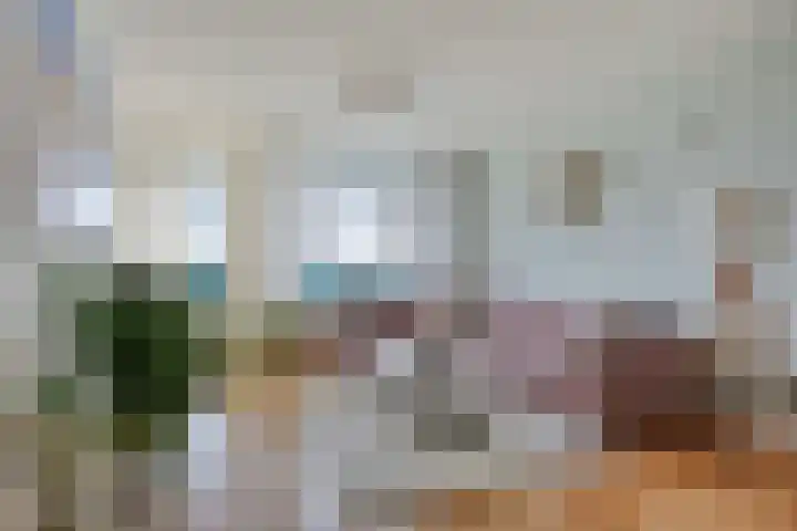 Lauwerszeeweg 121 Eindhoven thumbnail 15
