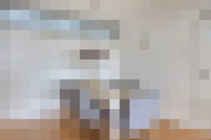 Lauwerszeeweg 121 Eindhoven thumbnail 18