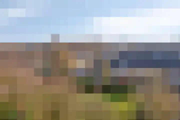 Lauwerszeeweg 121 Eindhoven thumbnail 24