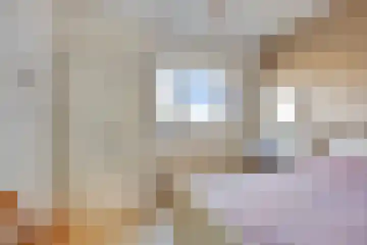 Lauwerszeeweg 121 Eindhoven thumbnail 34