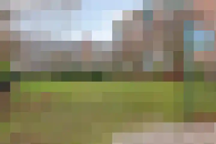 Lauwerszeeweg 121 Eindhoven thumbnail 40