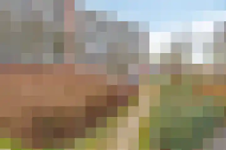 Lauwerszeeweg 121 Eindhoven thumbnail 41