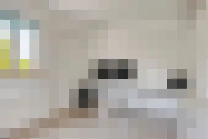 Lauwerszeeweg 19 Eindhoven thumbnail 13