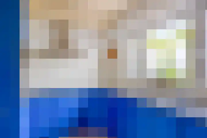 Lauwerszeeweg 19 Eindhoven thumbnail 15