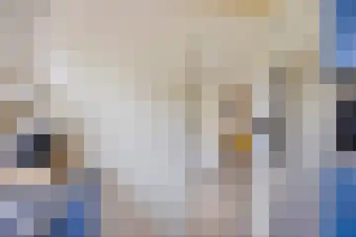 Lauwerszeeweg 19 Eindhoven thumbnail 16