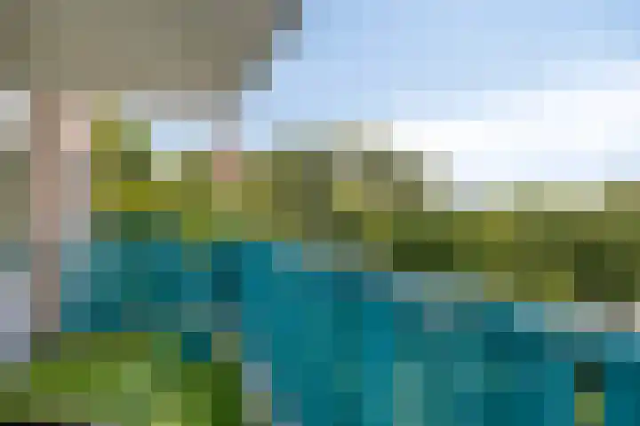 Lauwerszeeweg 19 Eindhoven thumbnail 26