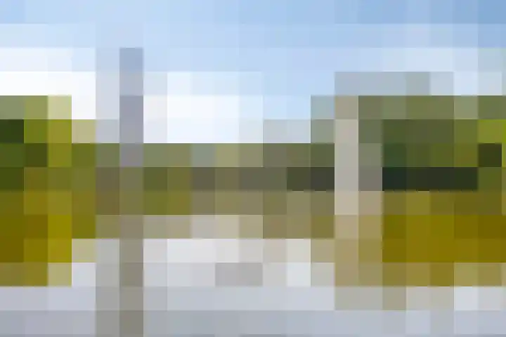 Lauwerszeeweg 19 Eindhoven thumbnail 27