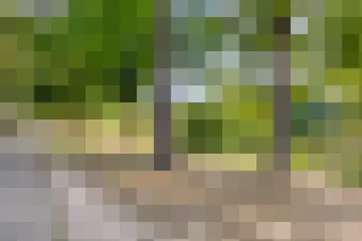 Lauwerszeeweg 19 Eindhoven thumbnail 28