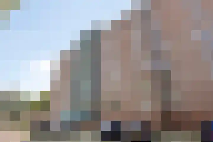 Lauwerszeeweg 19 Eindhoven thumbnail 29
