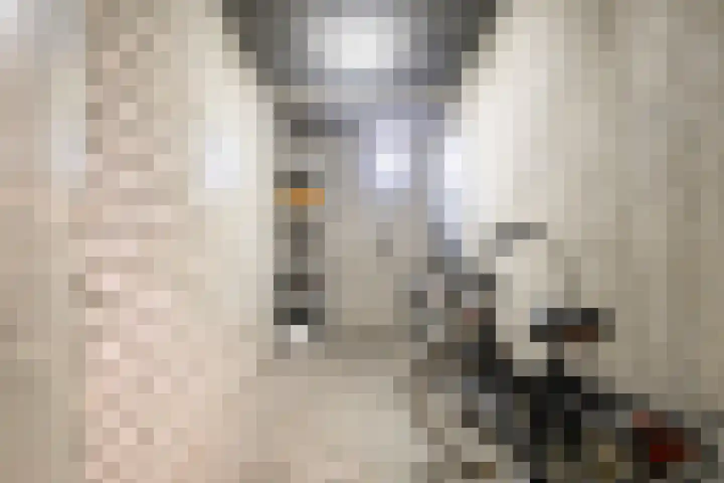 Lauwerszeeweg 61 Eindhoven thumbnail 25