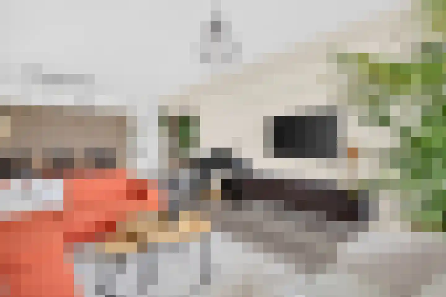 Lauwerszeeweg 83 Eindhoven thumbnail 11