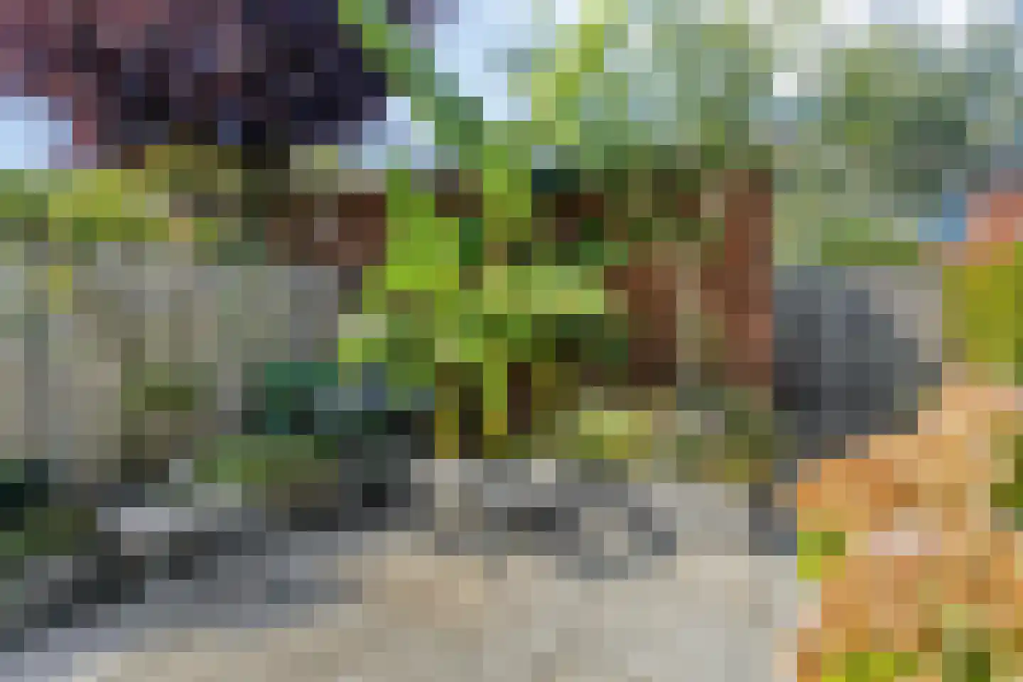 Lava 10 Zoetermeer thumbnail 27