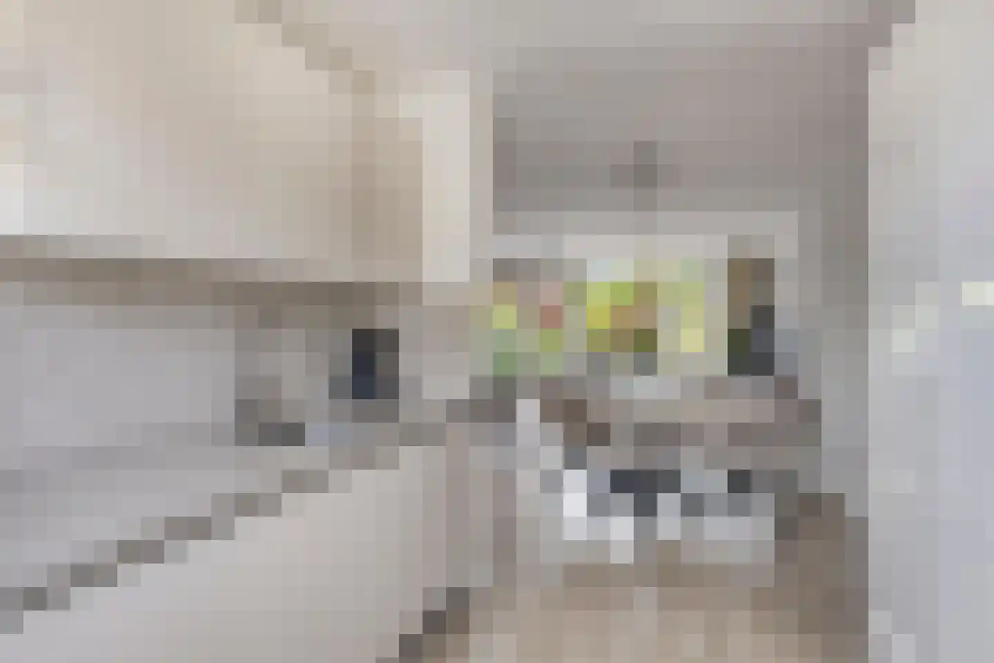 Lava 10 Zoetermeer thumbnail 9