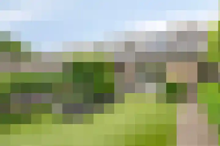 Lavadijk 119 Roosendaal thumbnail 32