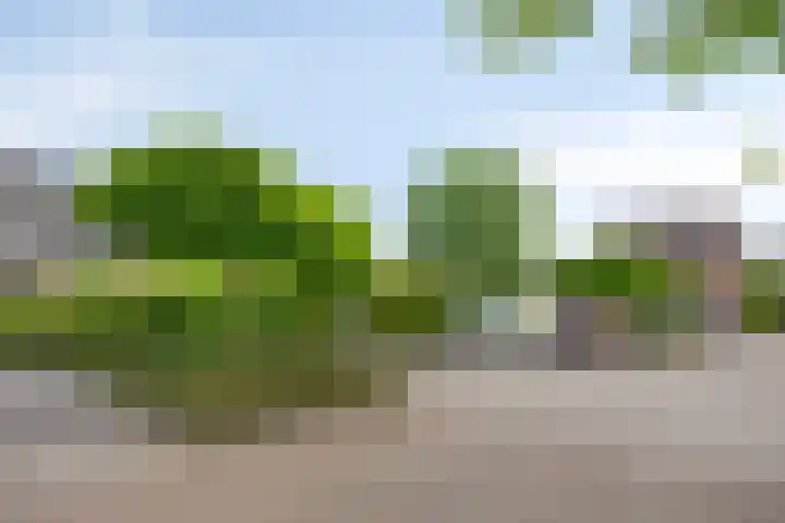 Lavadijk 119 Roosendaal thumbnail 6