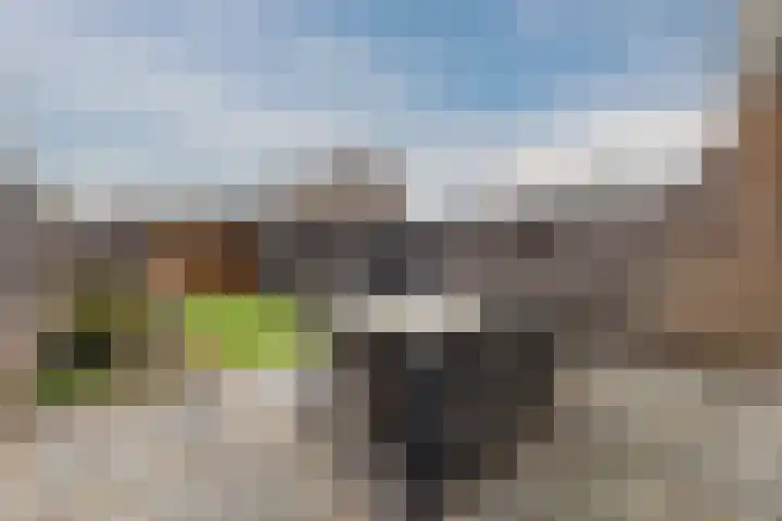 Lavadijk 95 Roosendaal thumbnail 32