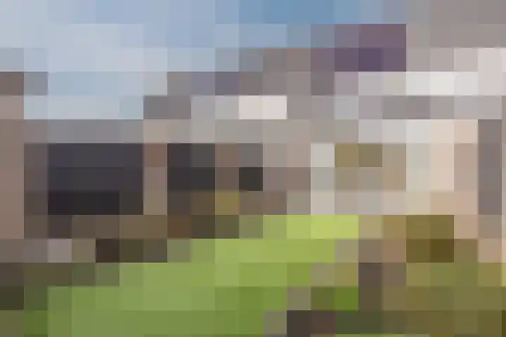 Lavadijk 95 Roosendaal thumbnail 36