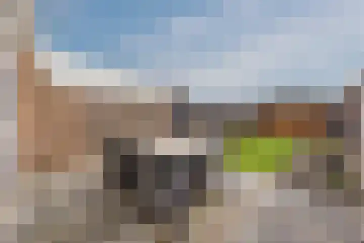 Lavadijk 95 Roosendaal thumbnail 4